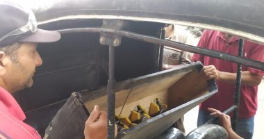 حملة مكبرة على التكاتك المخالفة ومصادرة 23 مكبر صوت فى السنبلاوين بالدقهلية