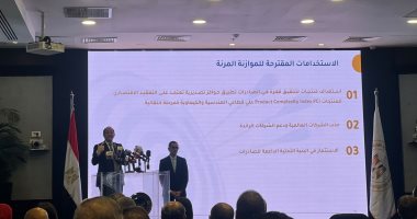 وزيرا الاستثمار والمالية يعلنان مضاعفة موازنة البرنامج إلى 45 مليار جنيه