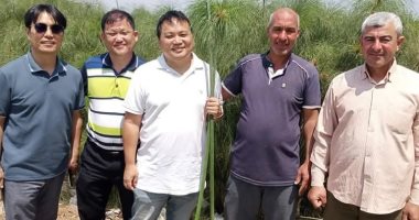 كوريون يزورون "القراموص" بالشرقية لمشاهدة زراعة وتصنيع البردى 