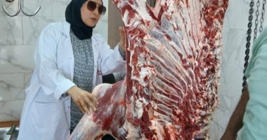 ضبط 4 أطنان و400 كيلو لحوم ودواجن مخالفة بالشرقية