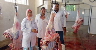 فتح المجازر بالمجان للمواطنين والمؤسسات الخيرية طوال أيام عيد الأضحى بالأقصر