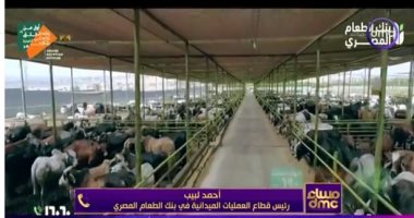 بنك الطعام المصرى: لدينا 350 ألف أسرة مسجلين فى قواعد بيانات بجميع المحافظات مداخلة أحمد لبيب على دي إم سي