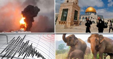 باختصار.. أهم الأخبار العربية والعالمية حتى الظهيرة.. عشرات المستوطنين يقتحمون المسجد الأقصى وسط حراسة شرطة الاحتلال.. زيمبابوى تقرر ذبح الفيلة وتوزع لحومها للاستهلاك البشرى.. زلزال بقوة 5.3 درجة يضرب إندونيسيا أهم الأحداث العربية والعالمية
