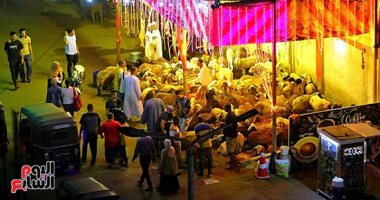 يا ليلة العيد أنستينا.. مظاهر استقبال عيد الأضحى فى الشوارع شوادر الأضاحى