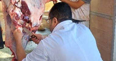 محافظ الجيزة: ذبح 2202 أضحية للمواطنين بمجازر المحافظة أول وثانى أيام العيد ذبح 2202 أضحية للمواطنين بمجازر الجيزة