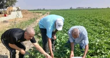 زراعة الإسماعيلية تواصل جهودها لحماية الرقعة الزراعية ومتابعة جودة المحاصيل