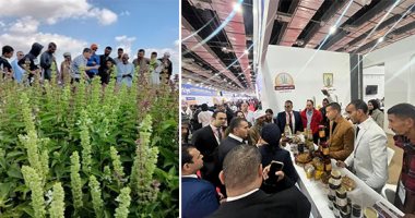 "التكتلات الاقتصادية ببرنامج تنمية الصعيد".. قصة نجاح حققت تنمية حقيقية بشهادة البنك الدولى.. برنامج متكامل لدعم 12 تكتلا اقتصاديا بتكلفة 480 مليون جنيه.. وخريطة بحصر 500 تكتل اقتصادى واعد فى 25 محافظة.. صور جهود برنامج التنمية المحلية فى صعيد مصر