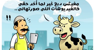 ظاهرة "العجول الهربانة" في كاريكاتير اليوم السابع كاريكاتير اليوم السابع
