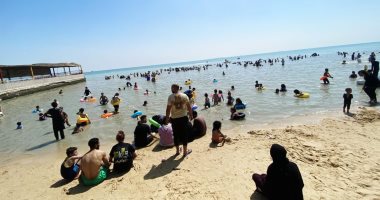 لجنة المرور على الشواطئ وحملة تفتيش على نقاط الذبيح والمخابز في الإسماعيلية