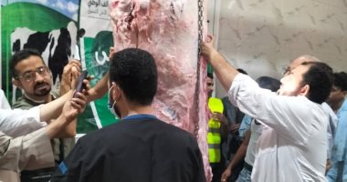 محافظ أسيوط: ذبح أكثر من 320 أضحية بالمجازر الحكومية فى أول يومين بالعيد ذبح أضاحي