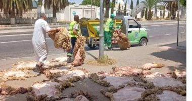 حملة لجمع جلود الأضاحى فى الجزائر.. اعرف التفاصيل حملة جمع جلود الأضاحى فى الجزائر
