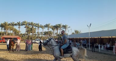 رحلات الفروسية احتفال خاص لأبناء دمياط في آخر أيام عيد الأضحى.. فيديو 