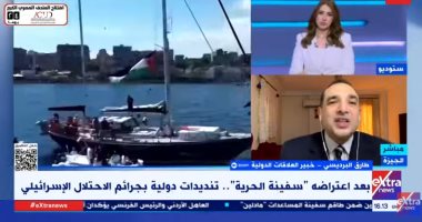 خبير بالعلاقات الدولية: إسرائيل باتت تمارس إجرامها على الجميع دون تفريق