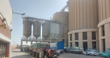 محافظ المنيا: توريد 520 ألف طن من محصول القمح للصوامع