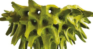 افتتاح معرض "سر النار" لمروة رضوان بمركز محموج مختار .. الخميس