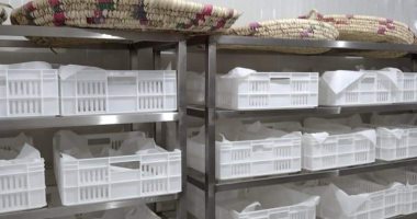 الواحة أول مشروع متكامل ضمن مبادرة الوادى الجديد لإحياء صناعة الحرير الطبيعى