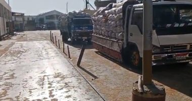 تموين الأقصر تعلن الانتهاء من توريد 24206 أطنان قمح للشون والصوامع.. صور  