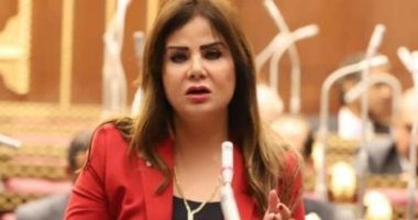 عضو دفاع الشيوخ: مصر أول الداعمين لفلسطين.. وتنظيم دخول الوفود ضرورة لحماية الأمن القومي