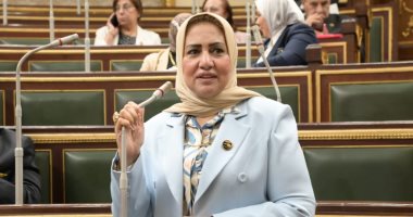 نائبة: بيان الخارجية يؤكد موقف مصر التاريخى من القضية الفلسطينية