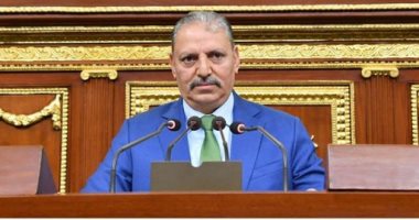 وكيل "دفاع النواب": عبور قافلة الصمود يستلزم تأشيرات دخول رسمية