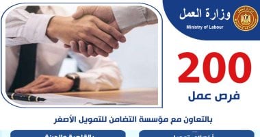 وزارة العمل تعلن 200 فرصة عمل بالتعاون مع مؤسسة التضامن للتمويل الأصغر وزارة العمل