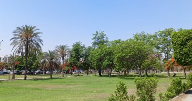 تعرف على حالة الطقس اليوم الخميس 12-6 -2025 فى الإسماعيلية.. فيديو انخفاض فى درجات الحرارة