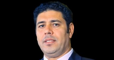 نائب رئيس حزب الوعى: مصر تواصل دورها المحورى فى الحفاظ على استقرار المنطقة