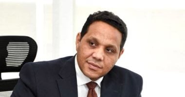 عضو بحقوق الإنسان: مصر القوة الإقليمية الوحيدة الداعمة للقضية الفلسطينية دكتور ولاء جاد الكريم