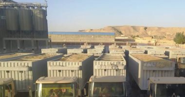 موسم توريد قمح استثنائي بأسوان والكميات تجاوزت المستهدف.. صور توريد القمح