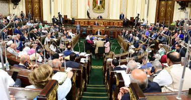 الجلسة العامة