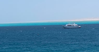 الجفتون ومجاويش أبرزها.. إقبال على رحلات الجزر البحرية بالغردقة.. فيديو