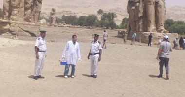 فرق من الطب البيطرى تحصن الكلاب الضالة فى منطقة تمثالى ممنون الأثرية غرب الأقصر.. صور