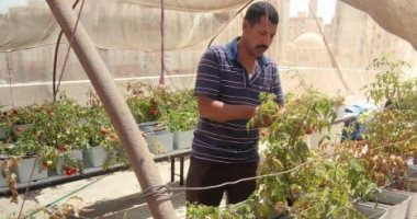 محافظ القاهرة: نجاح تجارب زراعة الأسطح وتعميمها على 450 عقارا زراعة الأسطح