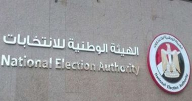 قبل المارثون الانتخابى.. كل ما يجب معرفته عن الهيئة الوطنية للانتخابات