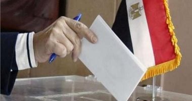 القانون يلزم فئات بتقديم استقالتهم قبل الترشح لانتخابات الشيوخ.. التفاصيل انتخابات - أرشيفية