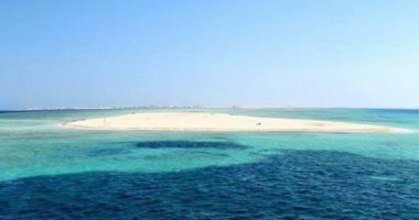 جزيرة توبيا البيضاء.. سحر الرمال الناصعة والهدوء وسط البحر الأحمر.. داخل نطاق المحميات الطبيعية وتستقبل مئات السياح يوميا.. يصل إليها نزلاء الفنادق القريبة من سفاجا.. وتقام بالقرب منها رياضة الكايت سيرف.. صور جزيرة توبيا البيضاء