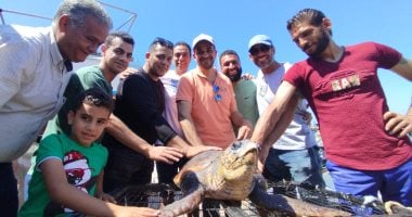 العثور على سلحفاة بحرية من محمية يونانية على سواحل الإسكندرية.. مباشر سحلفاة بحرية في الإسكندرية