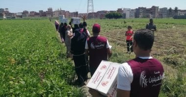 التحالف الوطنى يطلق القافلة الثالثة من قوافل "إيد واحدة" بالإسكندرية التحالف الوطني يطلق القافلة الثالثة من قوافل "إيد واحدة"