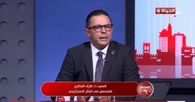 خبير: إسرائيل ضعيفة وهشة بدون دعم أمريكا وإيران اخترقت منظومتها الدفاعية