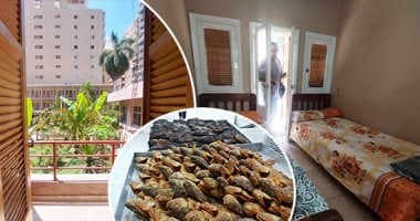 إزاى تصيف بأقل التكاليف فى الإسكندرية.. المركز الثقافى بسيدى بشر يقدم مبيتا بسعر 120 جنيها للسرير.. تنوع فى الأسعار يصل حتى 500 جنيه لشقة فندقية مكيفة.. ومطعم ونادى وقاعة مؤتمرات.. صور أرخص مبيت للعائلات فى عروس البحر