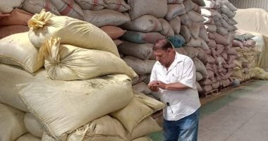 ضبط 4 أطنان أعشاب مجهولة المصدر بالشرقية جانب من المضبوطات