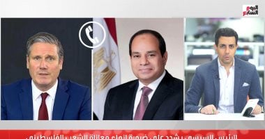 تفاصيل الاتصال بين الرئيس السيسى ورئيس وزراء بريطانيا.. فيديو الزميل محمد أبو ليلة_ مذيع اليوم السابع