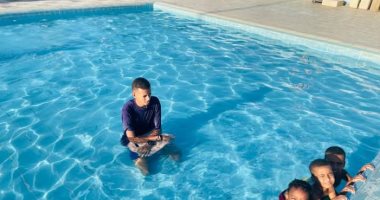حمامات السباحة تستقبل أبناء أسوان.. زيادة المنقذين المدربين المؤهلين للتعامل السريع