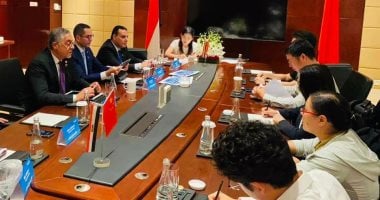 وزير الاستثمار: مصر تطوّر حاليا عددا من المشروعات البتروكيماوية الكبرى اجتماع وزير الاستثمار في شنغهاي الصينية