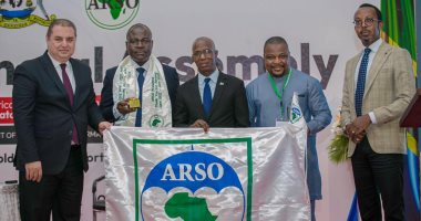 المنظمة الأفريقية للتقييس