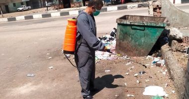 صحة الشرقية: حملات موسعة لمكافحة الذباب والبعوض وناقلات الأمراض
