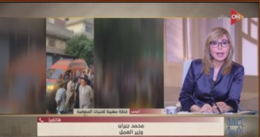 وزير العمل: 1.2 مليون عدد المسجلين من العمالة غير المنتظمة على قاعدة البيانات مداخلة محمد جبر وزير العمل