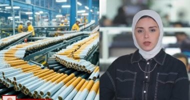 تليفزيون "اليوم السابع" يستعرض تفاصيل الزيادة الجديدة في أسعار السجائر الزميلة جيرمين شلبى مذيعة اليوم السابع