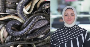 الزميلة جيرمين شلبى مذيعة اليوم السابع 