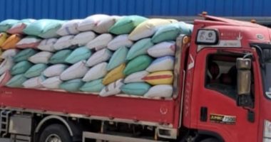 استمرار توريد القمح لشون وصوامع الشرقية